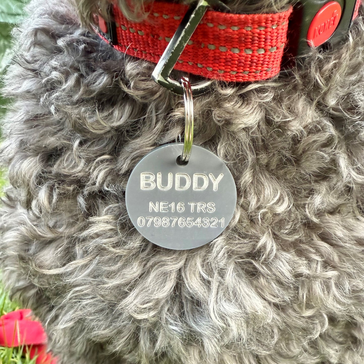 Personalised Pet ID Tag Matt