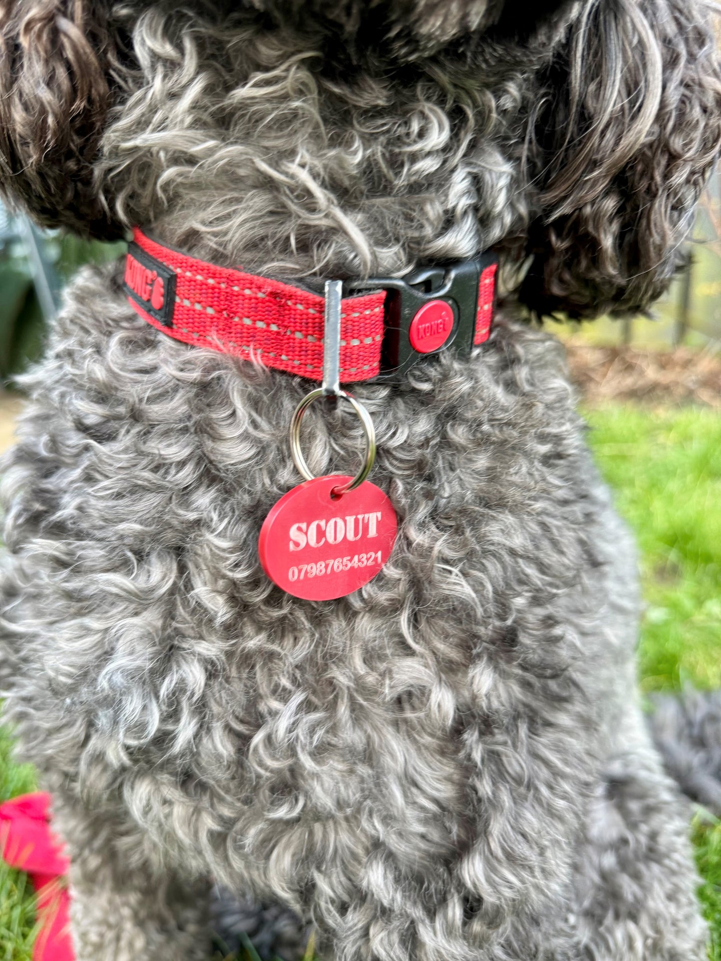 Personalised Pet ID Tag Matt