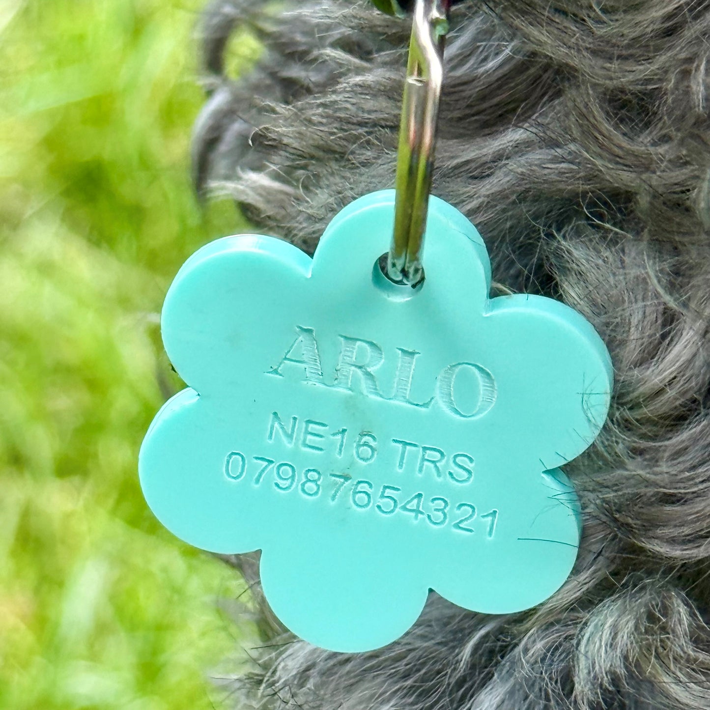 Personalised Pet ID Tag in Pastel Shades